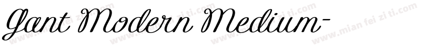 Gant Modern Medium字体转换
